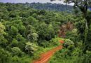 Misiones logra un importante avance en su política climática con la aprobación nacional de su Plan de Respuesta al Cambio Climático